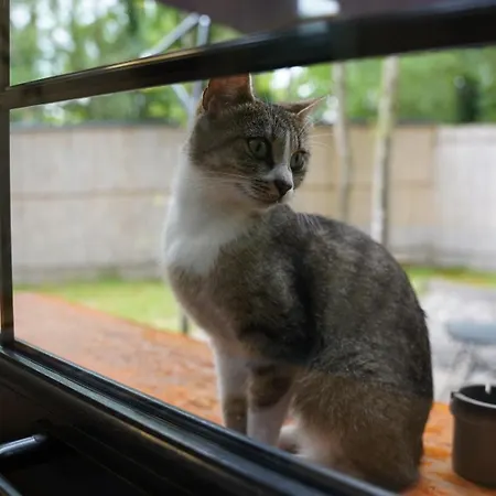 Chalet Pentalow Kocaeli