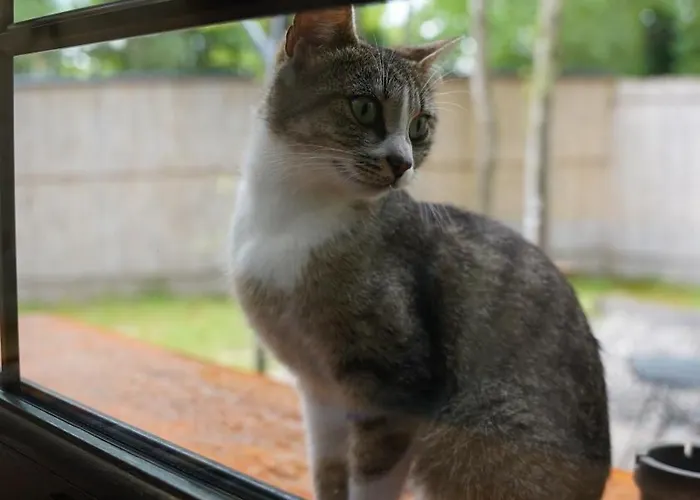 Horská chata Pentalow Kocaeli