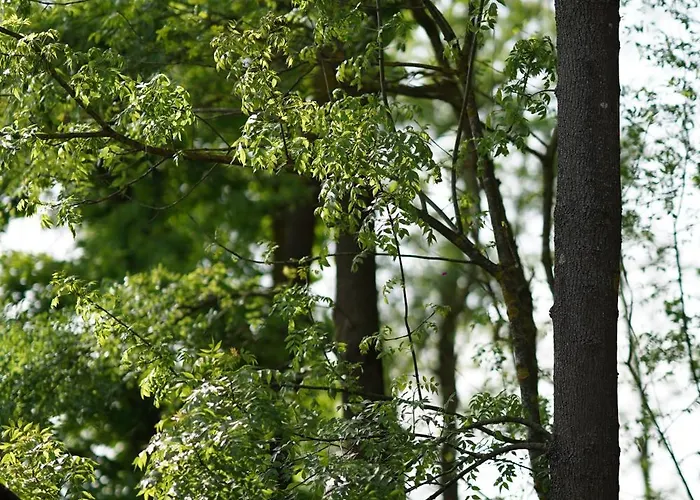 Pentalow Horská chata *